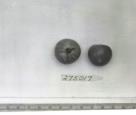 Click for 1 image(s) for this accession. FRUIT